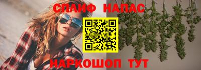 стаф Гусев