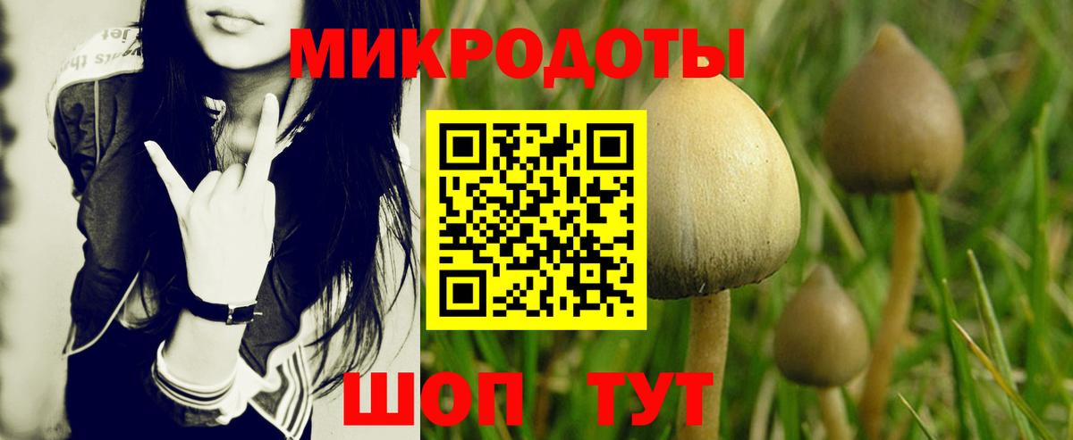 Пугачёв  Галлюциногенные грибы GOLDEN TEACHER  Вход с VPN  Псилоцибиновые грибы GOLDEN TEACHER 