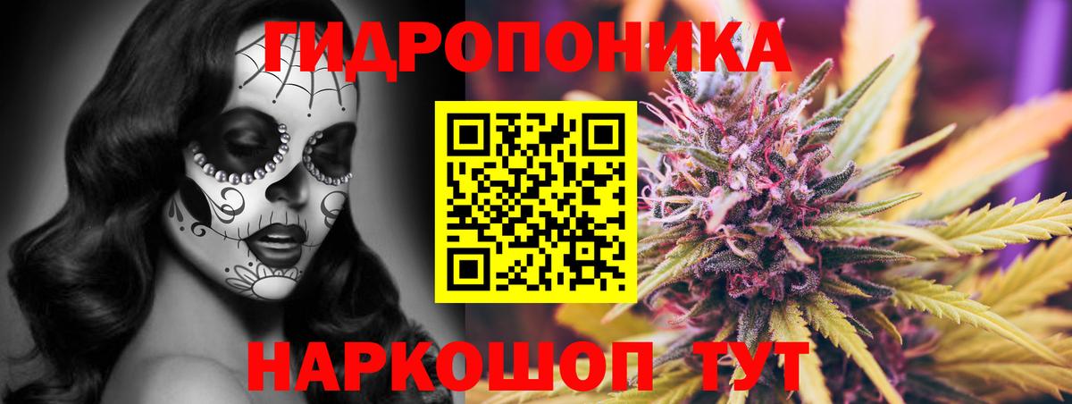 Шишки марихуана индика Пугачёв